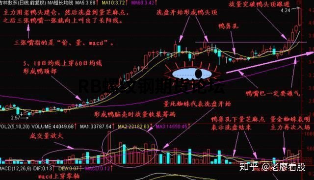 10萬炒股一年賺了500萬？“老鴨頭戰法”附實戰圖說明！