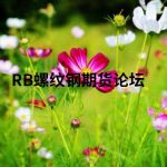 浙大的他期貨套利20萬到4億，你對此得到了什么收獲？-RB螺紋鋼期貨交易網