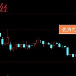 大額實時支付系統是指什么，大額實時支付系統的功能和作-RB螺紋鋼期貨交易網