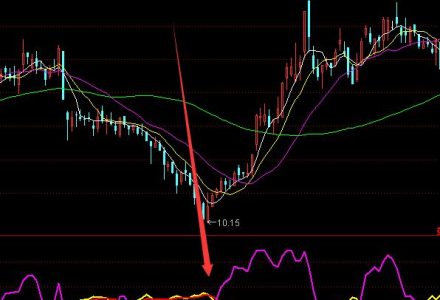 2022年糧食安全概念股龍頭一覽,糧食安全概念股有哪些? 2022年糧食安全概念股龍頭一覽,糧食安全概念股有哪些?
