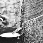 滬膠  重回弱勢整理-RB螺紋鋼期貨交易網