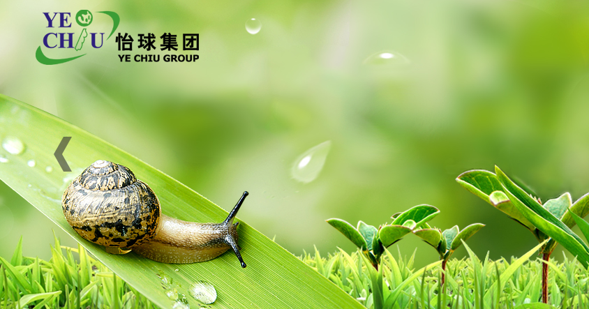 Sensor Tower：2021年42款手游出海收入超過1億美元 米哈游《原神》位居榜首-RB螺紋鋼期貨交易網