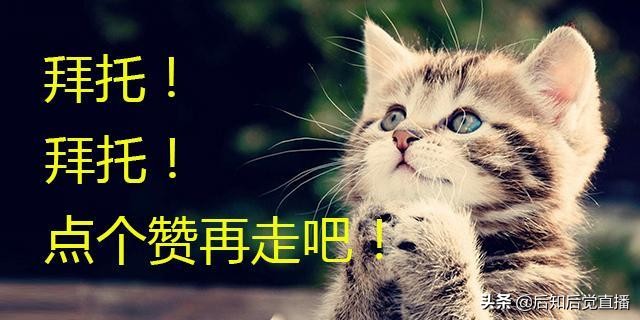 豆二期貨是對標的美國大豆期貨嗎？-RB螺紋鋼期貨交易網