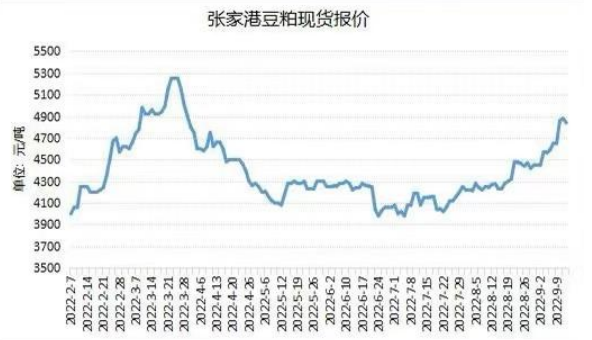 市場未見利多因素影響 豆粕或高位回調走勢-RB螺紋鋼期貨交易網