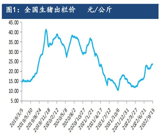 市場供需博弈激烈 生豬價格或繼續震蕩偏強-RB螺紋鋼期貨交易網