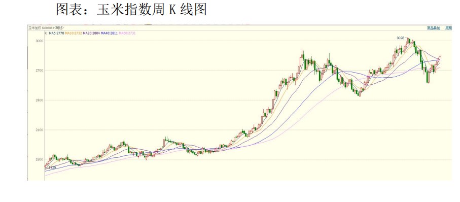 出口量比同期仍處低位 玉米或高位震蕩運行-RB螺紋鋼期貨交易網