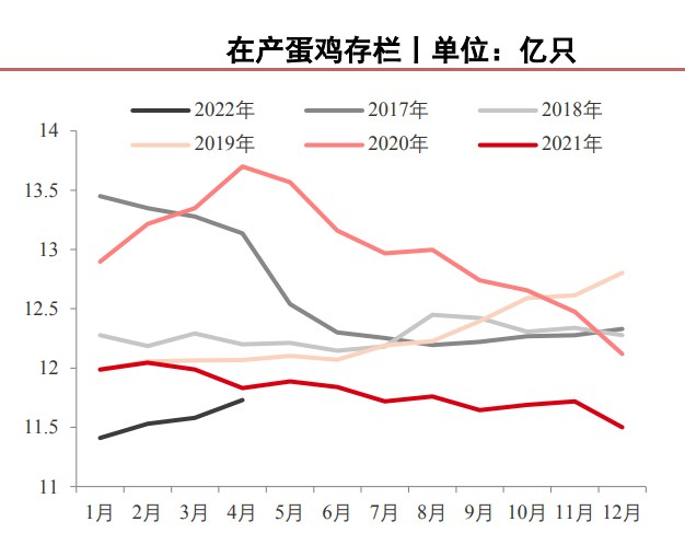 鮮雞蛋采購量繼續增加 玉米現貨市場價格堅挺-RB螺紋鋼期貨交易網