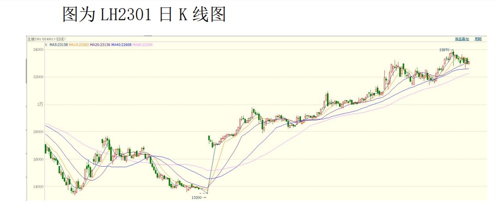 出欄恐慌情緒有所增加 生豬短期呈高位震蕩格局-RB螺紋鋼期貨交易網