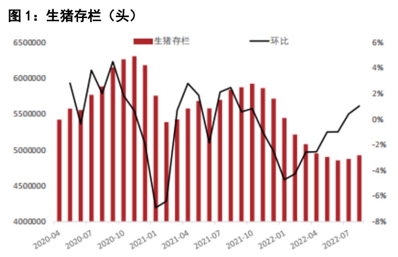 超預期備貨提振雞蛋盤面 白糖庫存壓力較大-RB螺紋鋼期貨交易網