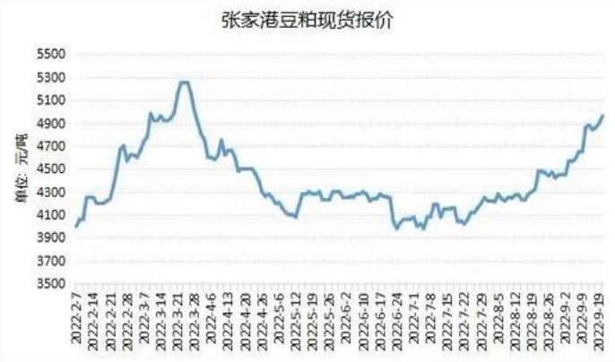 庫存已下滑至偏低水平 豆粕期價震蕩整理-RB螺紋鋼期貨交易網