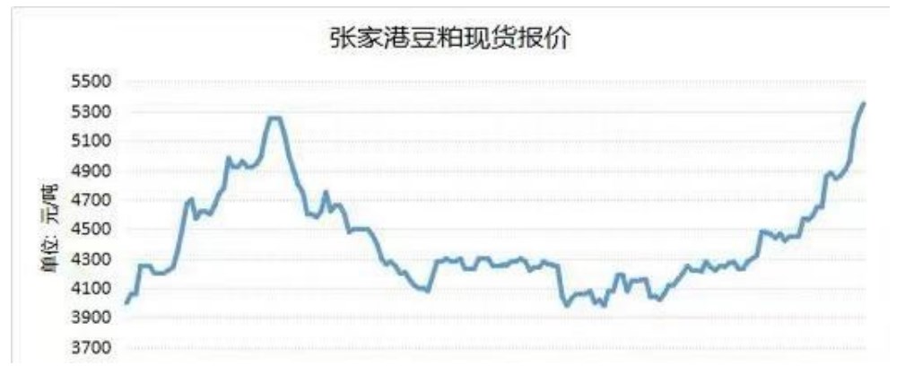 現貨仍支撐盤面價格 豆粕上方調整空間有限-RB螺紋鋼期貨交易網