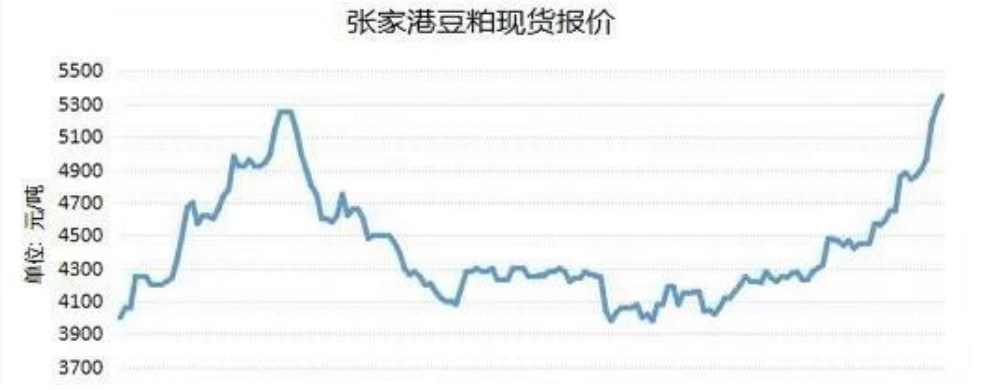 港口庫存仍處低位 豆粕現貨價格堅挺-RB螺紋鋼期貨交易網