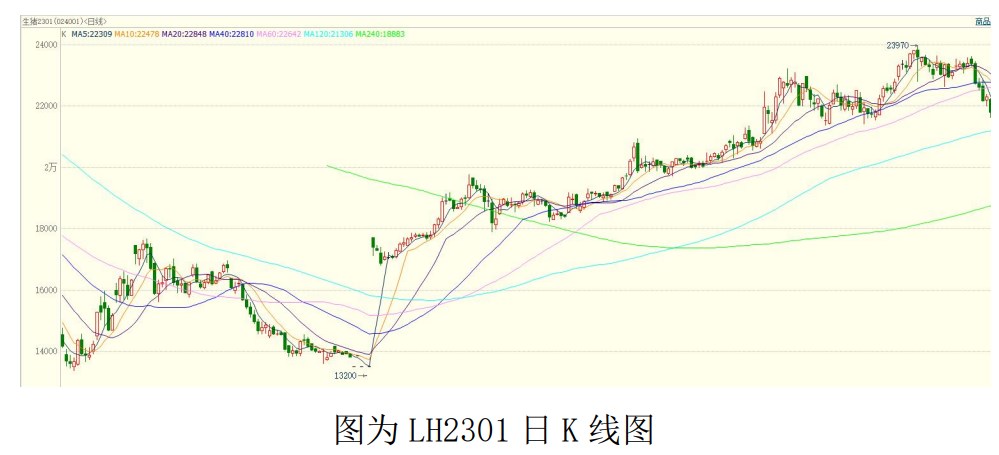市場供應有所保障 生豬存欄量連續回升-RB螺紋鋼期貨交易網