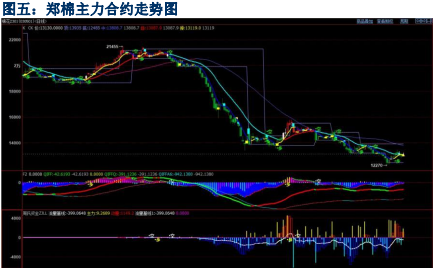 企業積極入場保值 棉花技術指標處于強勢-RB螺紋鋼期貨交易網