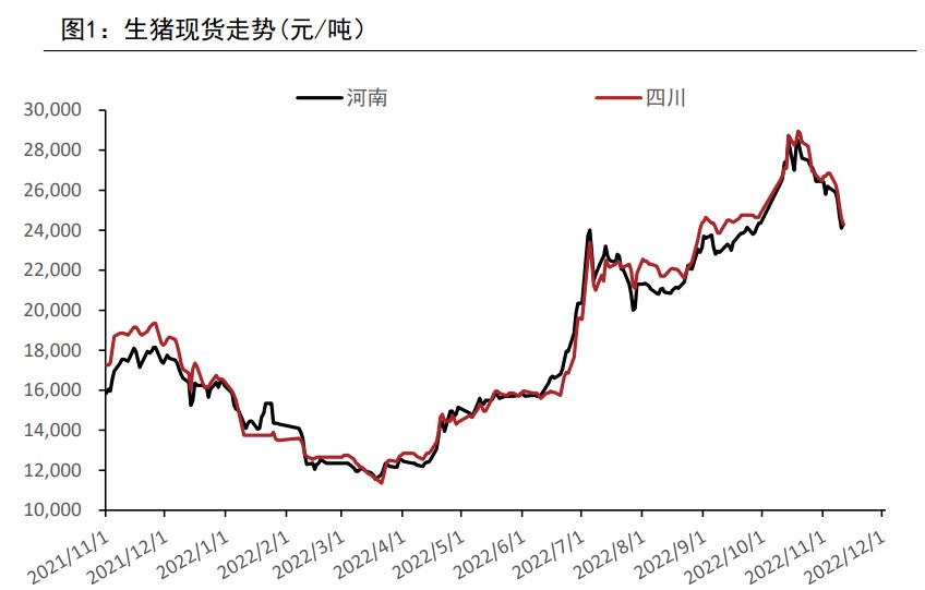 屠宰端虧損+表需一般 生豬短期或仍偏弱-RB螺紋鋼期貨交易網