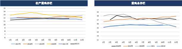 現貨恐高有見頂跡象 雞蛋期貨或受影響 現貨恐高有見頂跡象 雞蛋期貨或受影響