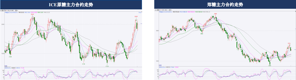 白糖期貨周報：新榨季大規模開榨同比偏慢-RB螺紋鋼期貨交易網