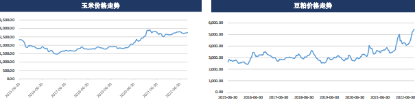 現貨恐高有見頂跡象 雞蛋期貨或受影響 現貨恐高有見頂跡象 雞蛋期貨或受影響
