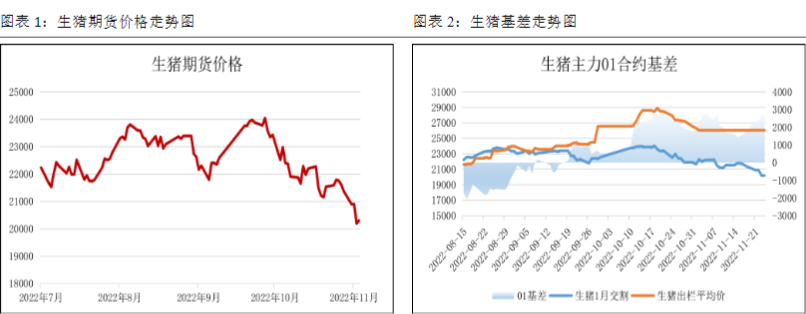市場供應逐步改善 生豬價格高位回落-RB螺紋鋼期貨交易網