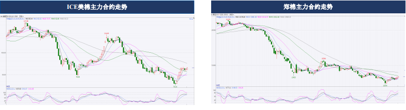 防疫政策傳來利好 短期棉花市場相對堅挺-RB螺紋鋼期貨交易網