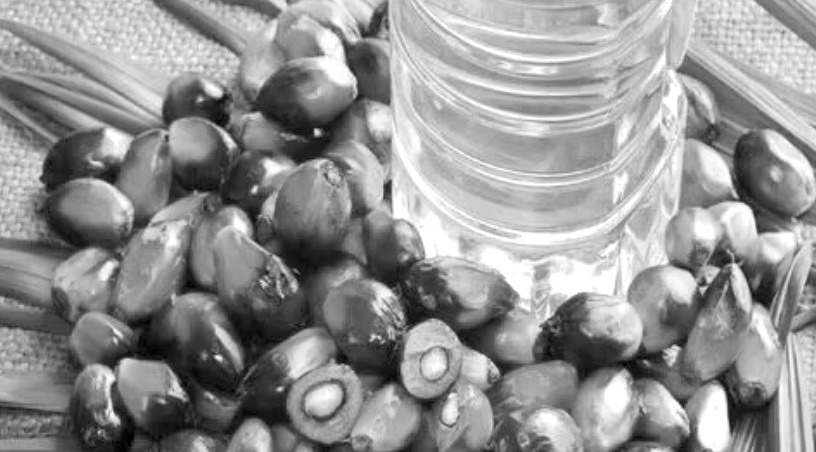 11月11日雞蛋：蛋價漲跌均有限 建議觀望為主-RB螺紋鋼期貨交易網