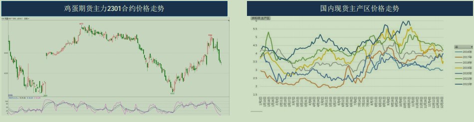 11月雞蛋期貨月報：蛋價維持高位震蕩-RB螺紋鋼期貨交易網