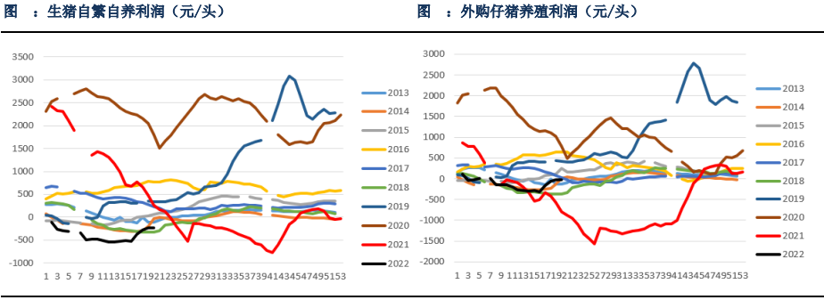 生豬期貨過早搶跑預期 后續上漲潛力被透支 生豬期貨過早搶跑預期 后續上漲潛力被透支