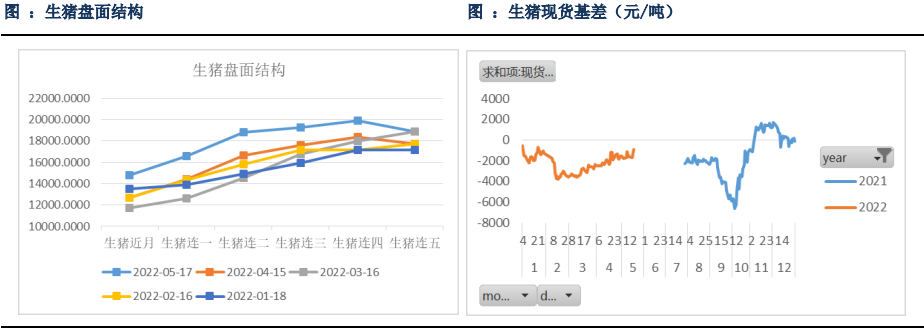 生豬期貨過早搶跑預期 后續上漲潛力被透支 生豬期貨過早搶跑預期 后續上漲潛力被透支