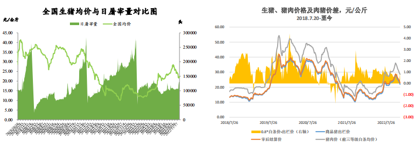 12月6日生豬周報:供需雙增預期 生豬上方空間有限 12月6日生豬周報:供需雙增預期 生豬上方空間有限