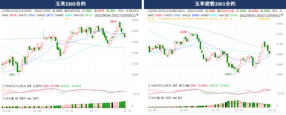 12月5日玉米期貨周報：階段性上量增加 關注后期售糧壓力及物流恢復情況-RB螺紋鋼期貨交易網