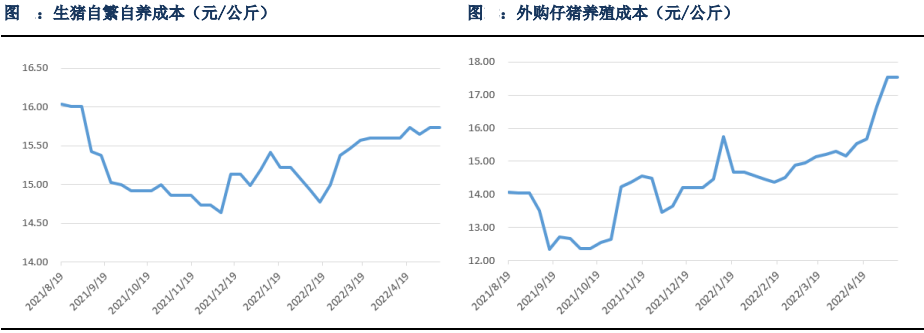 生豬期貨過早搶跑預期 后續上漲潛力被透支 生豬期貨過早搶跑預期 后續上漲潛力被透支