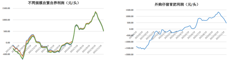 12月6日生豬周報:供需雙增預期 生豬上方空間有限 12月6日生豬周報:供需雙增預期 生豬上方空間有限