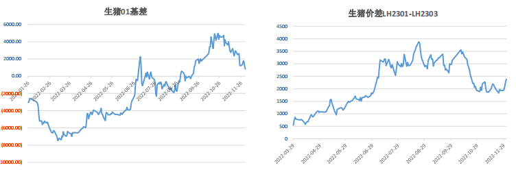 12月6日生豬周報:供需雙增預期 生豬上方空間有限 12月6日生豬周報:供需雙增預期 生豬上方空間有限