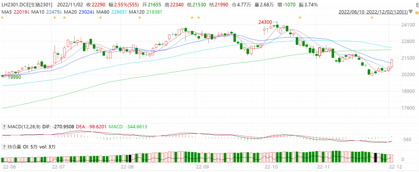 12月6日生豬周報:供需雙增預期 生豬上方空間有限 12月6日生豬周報:供需雙增預期 生豬上方空間有限
