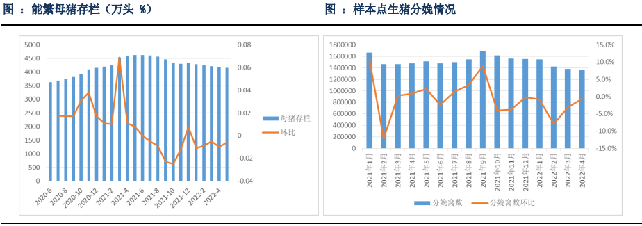 生豬期貨過早搶跑預期 后續上漲潛力被透支 生豬期貨過早搶跑預期 后續上漲潛力被透支