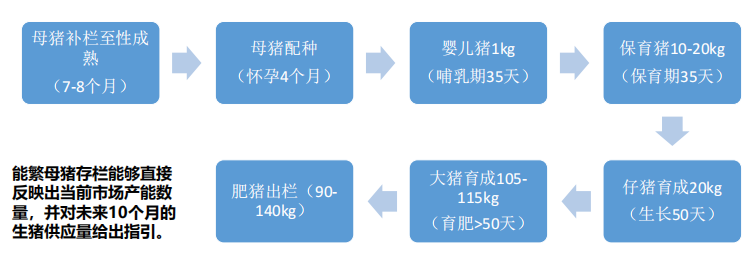 12月6日生豬周報:供需雙增預期 生豬上方空間有限 12月6日生豬周報:供需雙增預期 生豬上方空間有限
