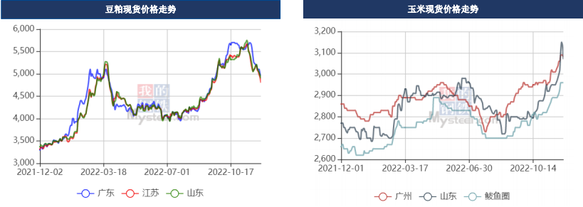 12月6日生豬周報:供需雙增預期 生豬上方空間有限 12月6日生豬周報:供需雙增預期 生豬上方空間有限