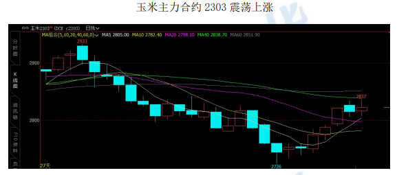 供應總量總體充足 玉米依舊存在適度回漲機會-RB螺紋鋼期貨交易網